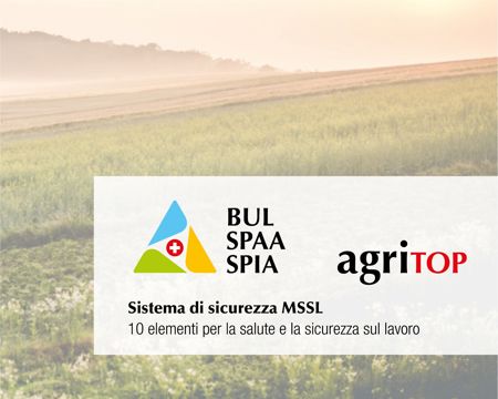 Sistema di sicurezza MSSL / 10 elementi per la salute e la sicurezza sul lavoro